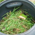 compost_in_the_drum_455867373