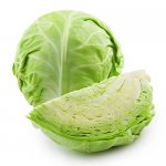 white-cabbage-500×500