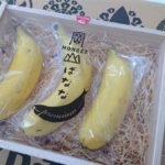 banana_Mongee-600-x-338