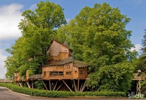 Perierga.gr - Το μεγαλύτερο σπίτι σε δέντρα!