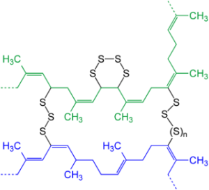 Schematic presentation of two strains (blue and green) of natural rubber after vulcanization with elemental sulfur.